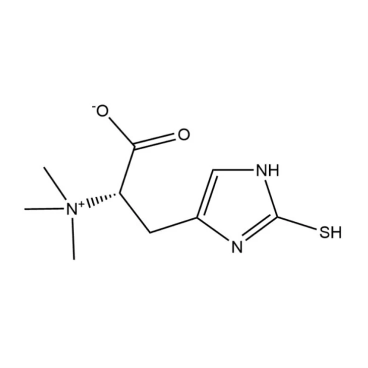 Sympectothion